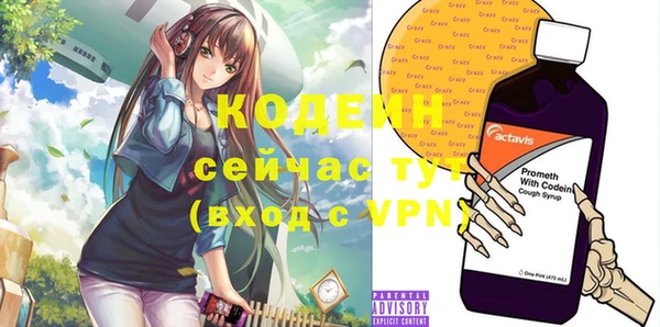 индика Лихославль