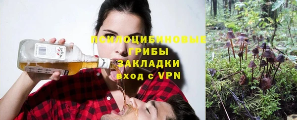 a pvp Майский