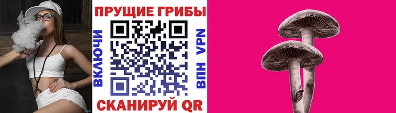 Псилоцибиновые грибы MAGIC MUSHROOMS  Тамбов 